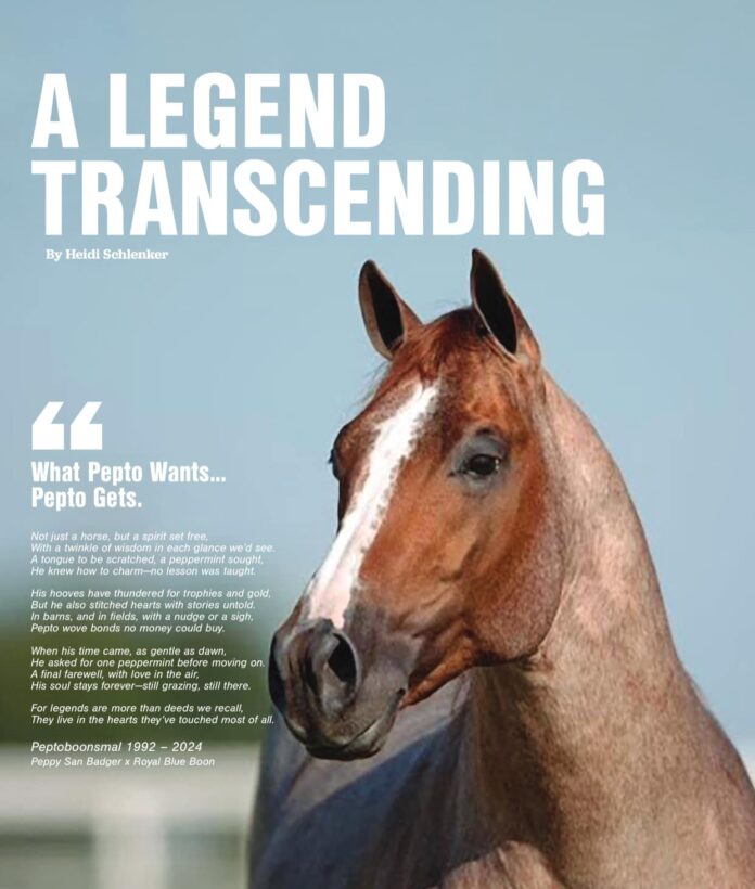 Peptoboonsmal was a celebrity horse who passed at 32 in 2024. Peptoboonsmal was a celebrity horse who passed at 32 in 2024.